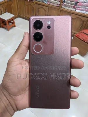 Vivo V29 256 GB Silver