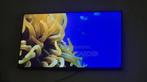 Xiaomi P1 TV 55 Inch