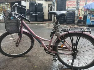 Cycle Rider