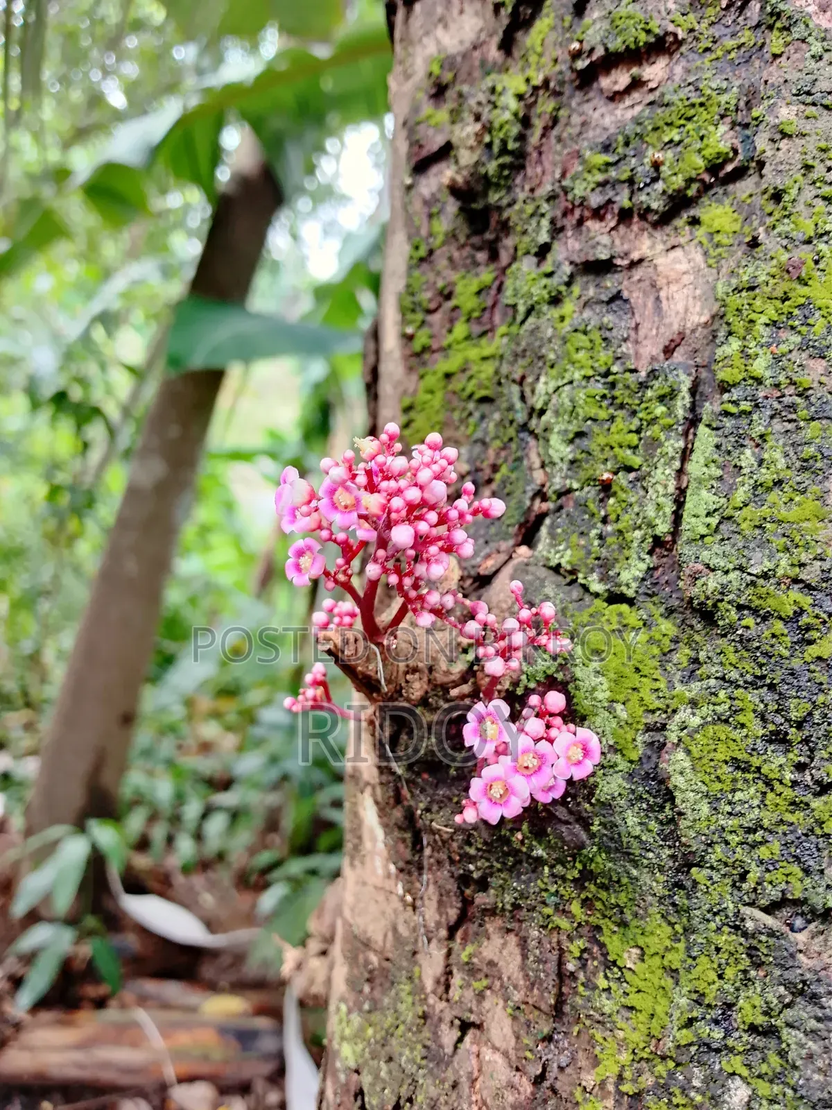 টেকনো স্পার্ক গো ৬৪ জিবি ব্ল্যাক