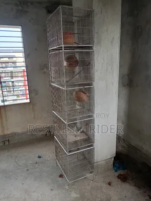পাখির খাঁচা