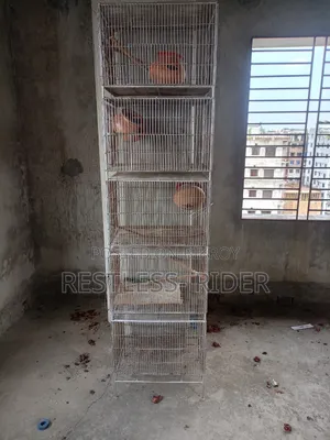 পাখির খাঁচা