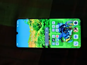 Realme C51 64 GB Gray