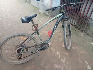 Used Bicycle