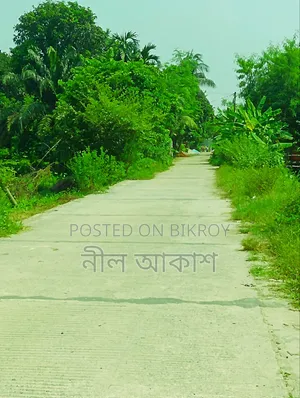 দোকান সহ জমি সেল হবে ড্রেন+ঢালাই রোড রাস্তা পাসে