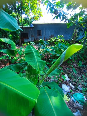 দোকান সহ জমি সেল হবে ড্রেন+ঢালাই রোড রাস্তা পাসে