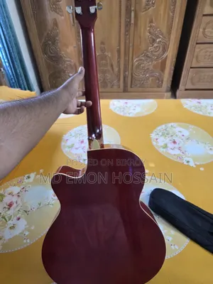 Custom Guitar