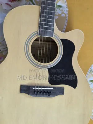 Custom Guitar