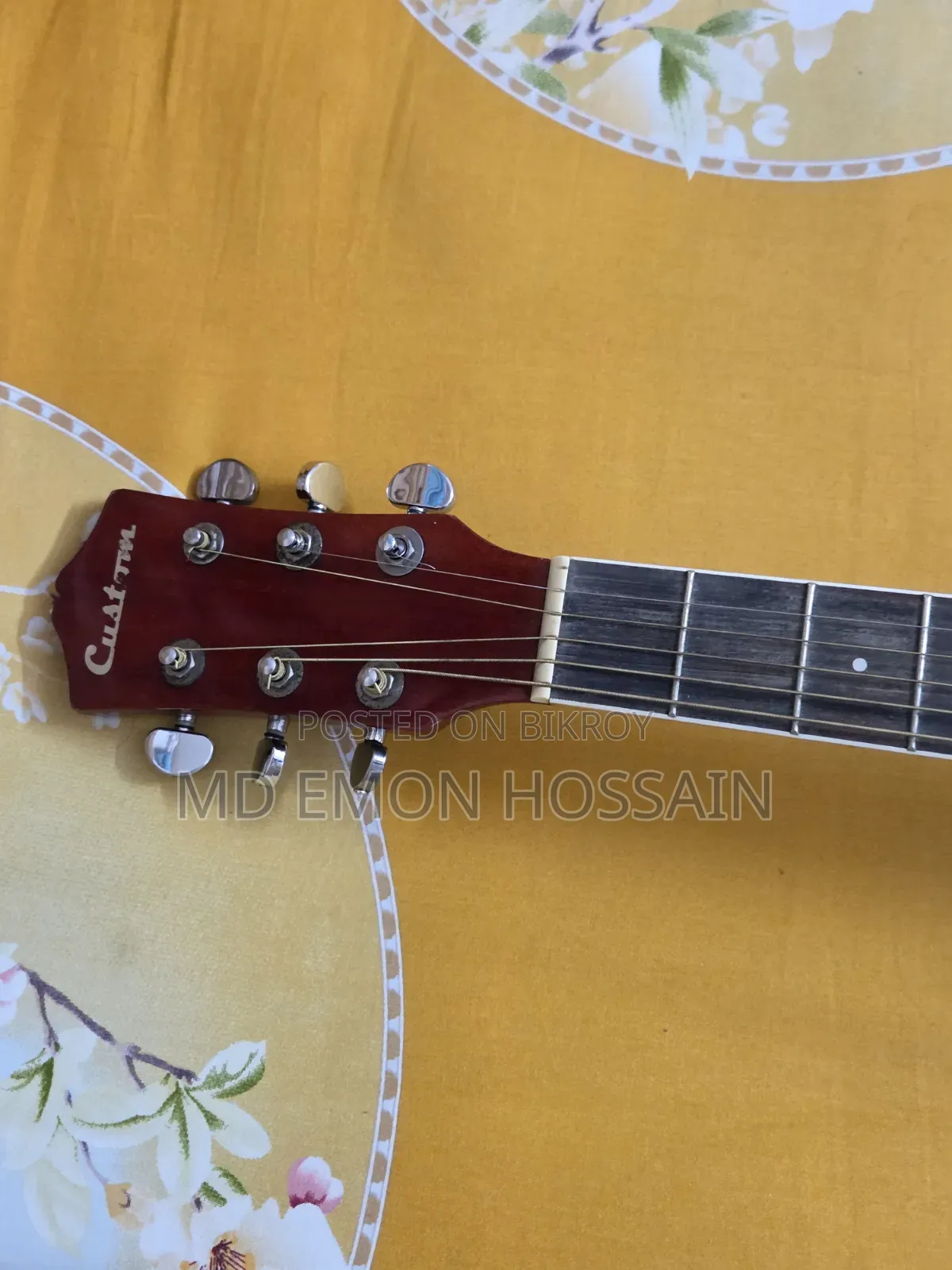 Custom Guitar