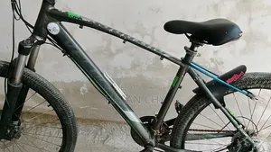 Good Quality Gear Cycle