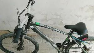 Good Quality Gear Cycle