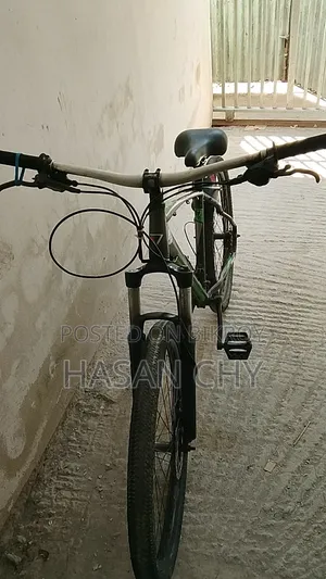 Good Quality Gear Cycle