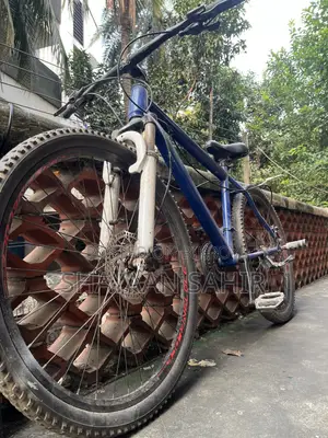 Stunt Cycle (Oil Brake)