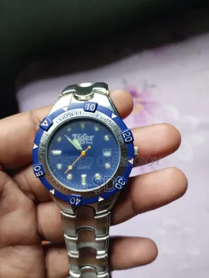Tiger Watch