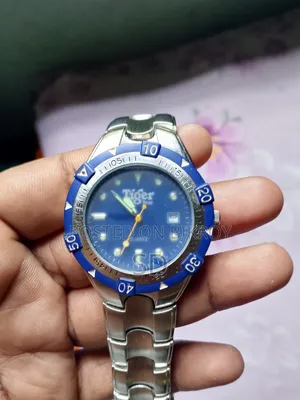 Tiger Watch