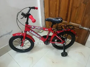 ১৬ ইঞ্চি সাইকেল
