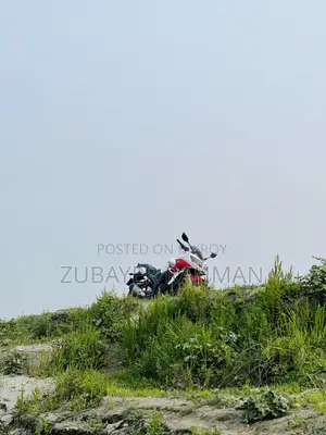 Yamaha Fazer V1 2011 Red