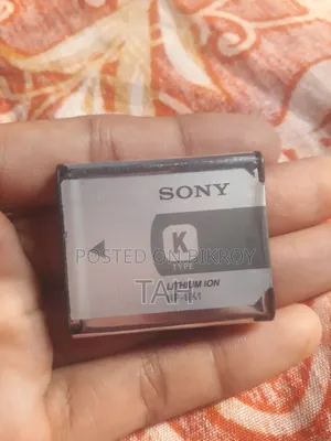 সনি ডিজিটাল ক্যামেরা ব্যাটারি