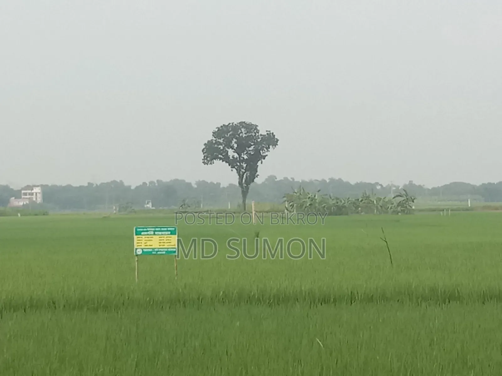 আমাদের এখানে মোট ৬কাঠা জমে আছে। আপনার মন মত নিতে পারবেন।।
