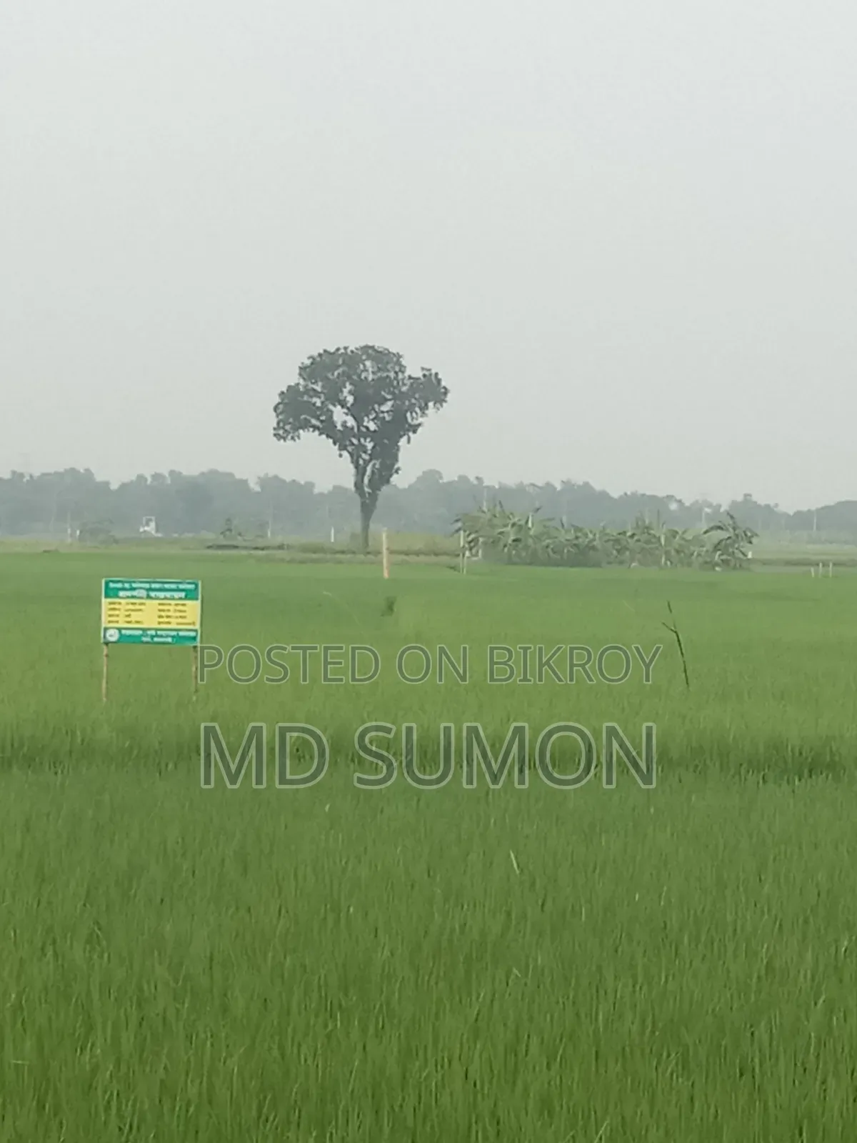 আমাদের এখানে মোট ৬কাঠা জমে আছে। আপনার মন মত নিতে পারবেন।।