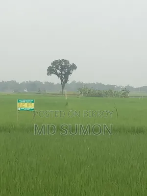 আমাদের এখানে মোট ৬কাঠা জমে আছে। আপনার মন মত নিতে পারবেন।।