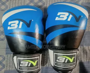 Boxing Gloves (BN, 14oz)