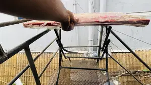 Folding Plastic Table