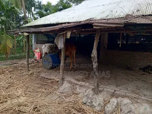 জমি বিক্রয়