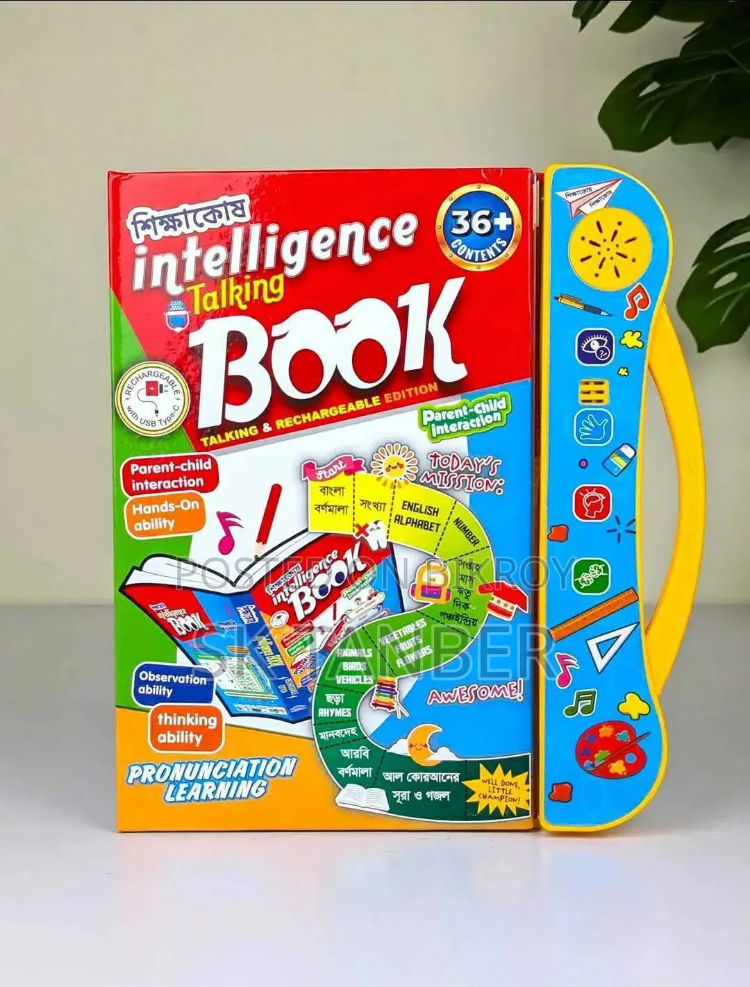 Talking Book