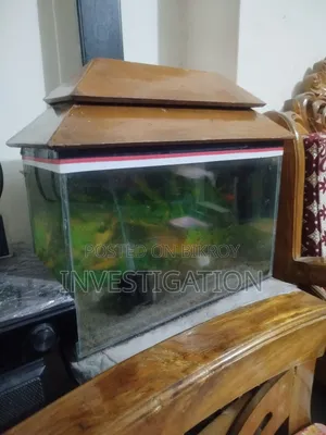 Aquarium 1.5 Ft