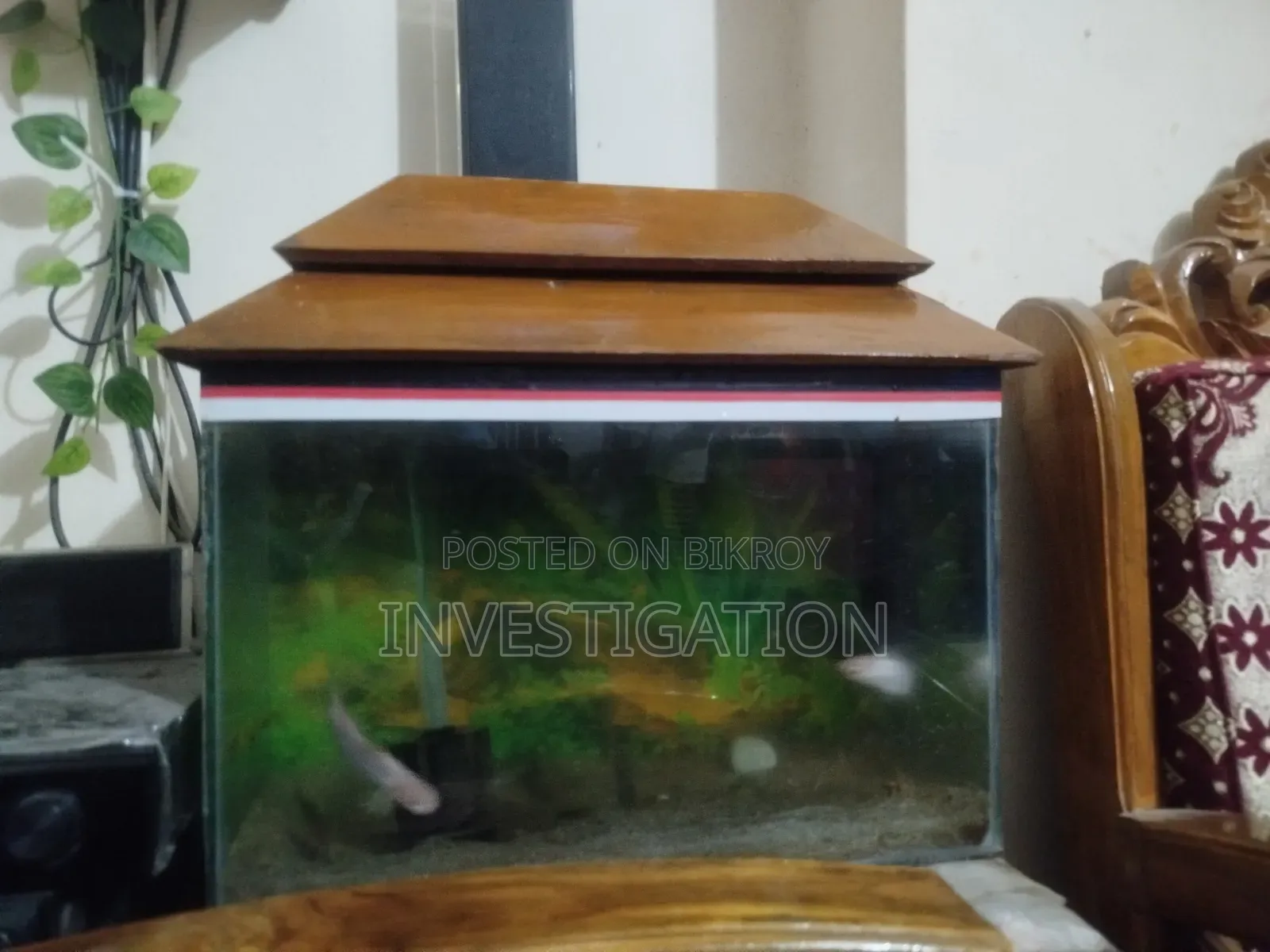 Aquarium 1.5 Ft