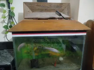 Aquarium 1.5 Ft