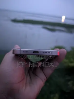 Apple iPhone 16 Pro Max 256 GB