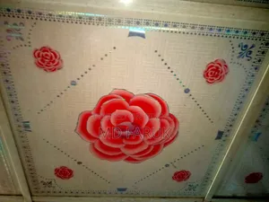 Anwar's Matte Tin and Plastic Ceiling