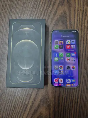 অ্যাপল আইফোন ১২ প্রো ম্যাক্স ১২৮ জিবি গোল্ড