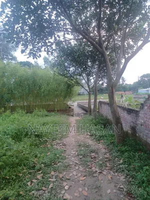 ভালো মানের বাড়ির জমি