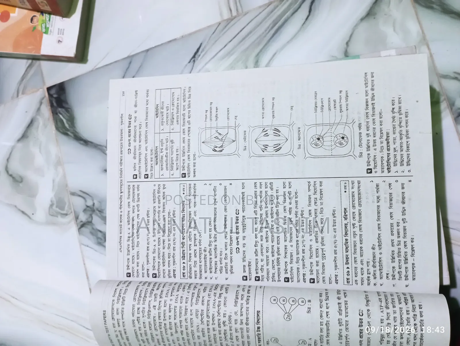 Total 11 Books - SSC 2025 Test Papers Made Easy