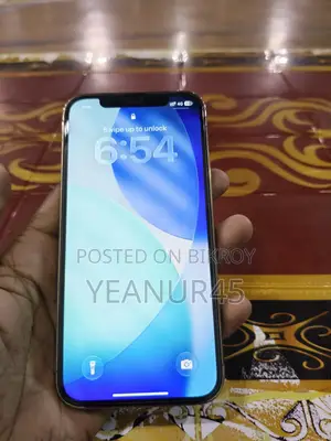 অ্যাপল আইফোন ১২ প্রো ২৫৬ জিবি রোজ গোল্ড