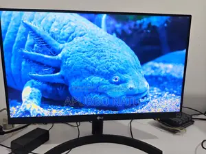 LG 22mk600m-B ২১.৫ ইঞ্চি আইপিএস ফুল এইচডি ৭৫ হার্জ মনিটর