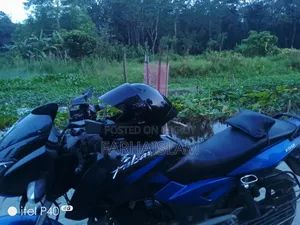 Bajaj Pulsar 150 2018 Black