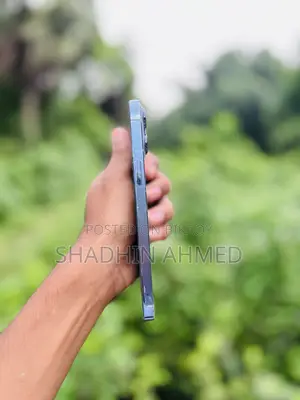 অ্যাপল আইফোন ১৩ প্রো ম্যাক্স ২৫৬ জিবি গ্রে