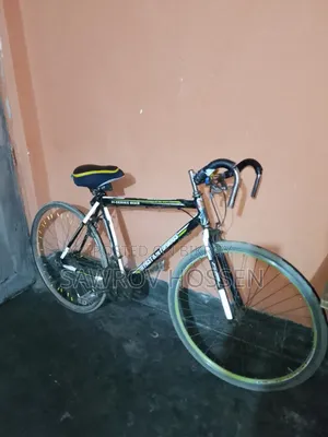 Fast Furious Bicycle