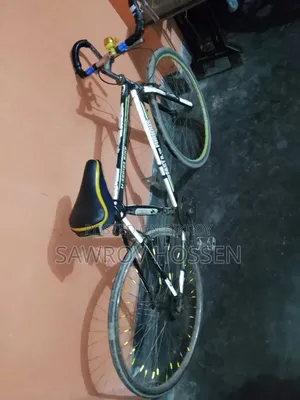 Fast Furious Bicycle