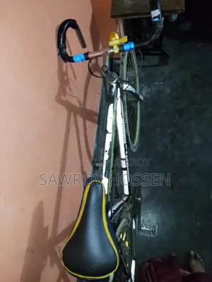 Fast Furious Bicycle