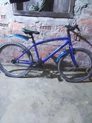 Durunto Muscular Cycle