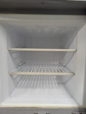 Walton Silver,gray Colour Frost Fridge 12.5 Cft.