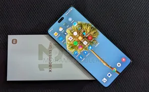 শাওমি ১৩ লাইট ২৫৬ জিবি গ্রে