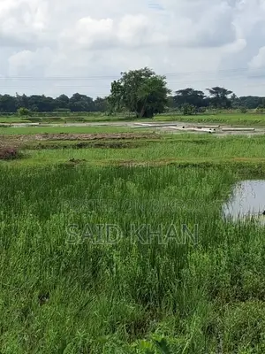 আপনার স্বপ্নের বাড়িকে বাস্তবে রূপ দিন!
