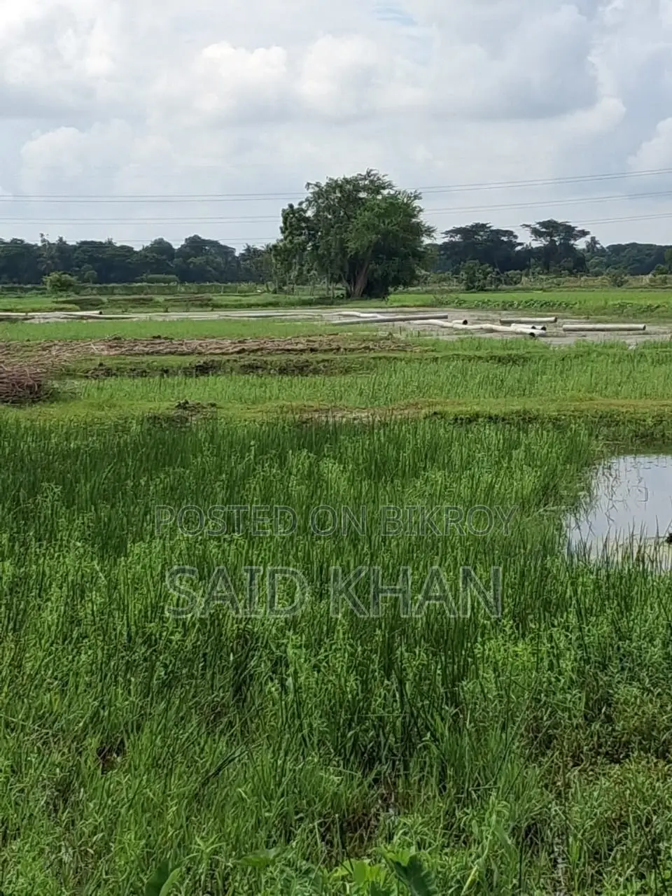 আপনার স্বপ্নের বাড়িকে বাস্তবে রূপ দিন!