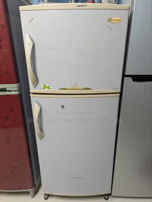 র্যাংস নন ফ্রস্ট ফ্রিজ ৩০১ লিটার।